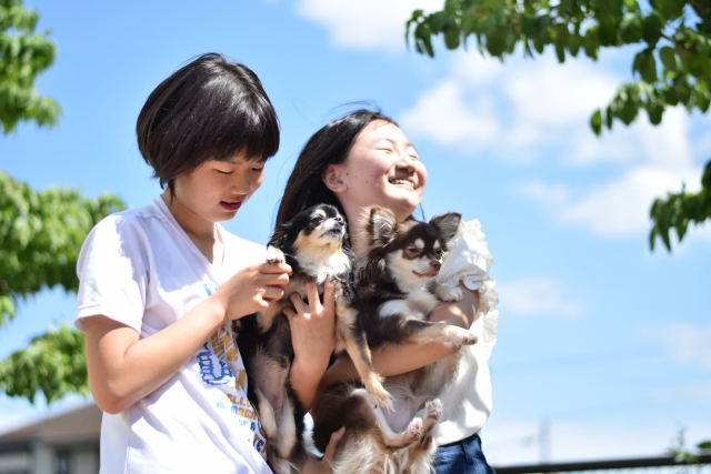 二人の少女とチワワ