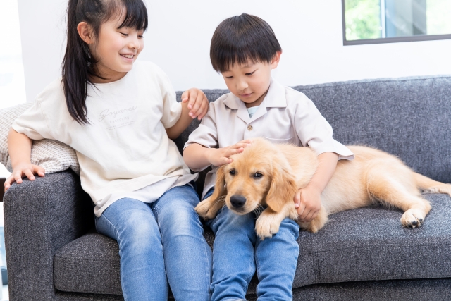 子犬と子供